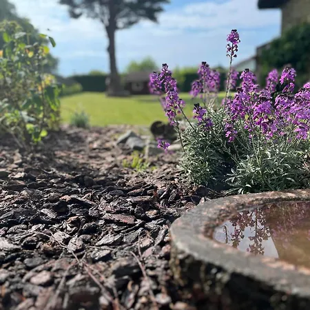 The Dream וילה Rødby