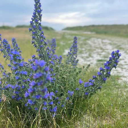 Villa The Dream Rødby