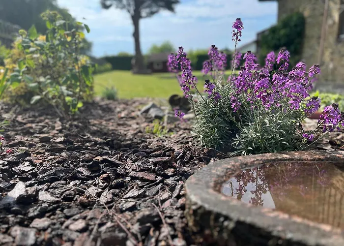 The Dream Вилла Рёдбю