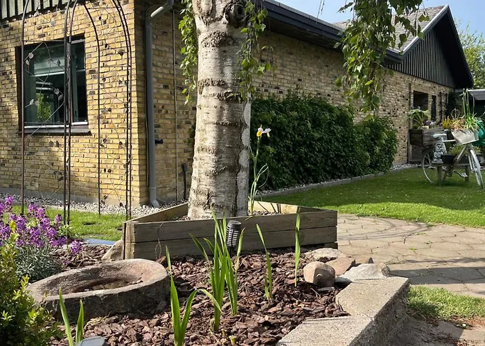 The Dream * Рёдбю